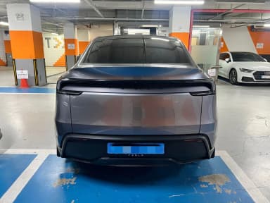 Model Y