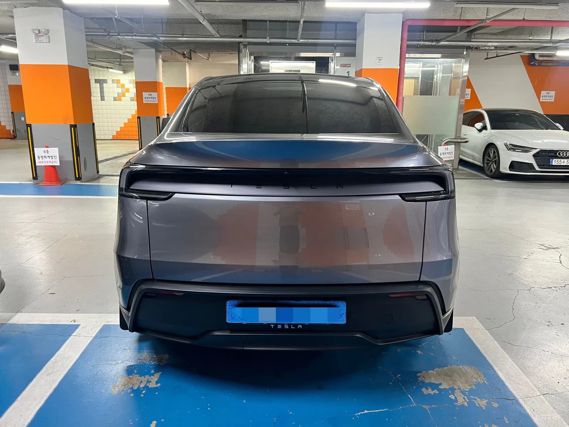 Model Y