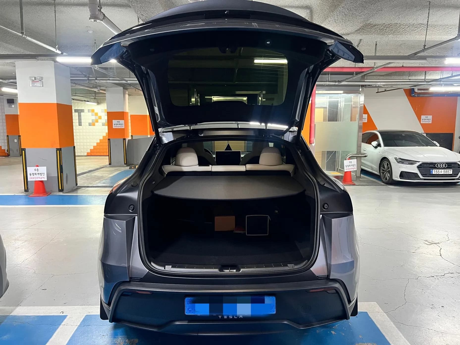 Model Y