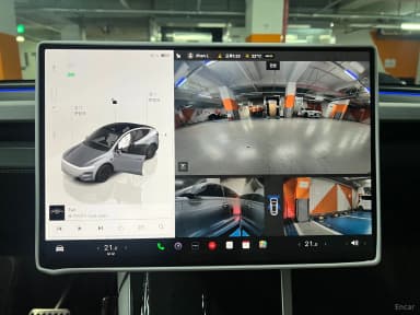 Model Y