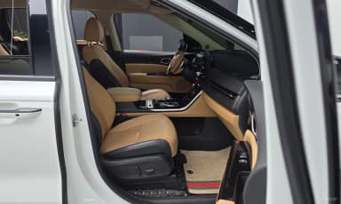 Carnival Gen 4