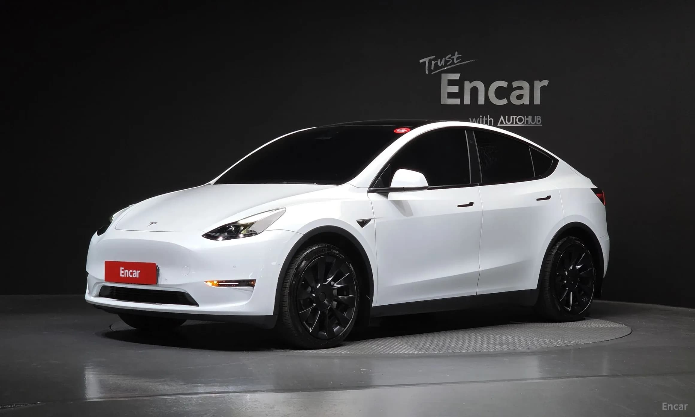 Model Y
