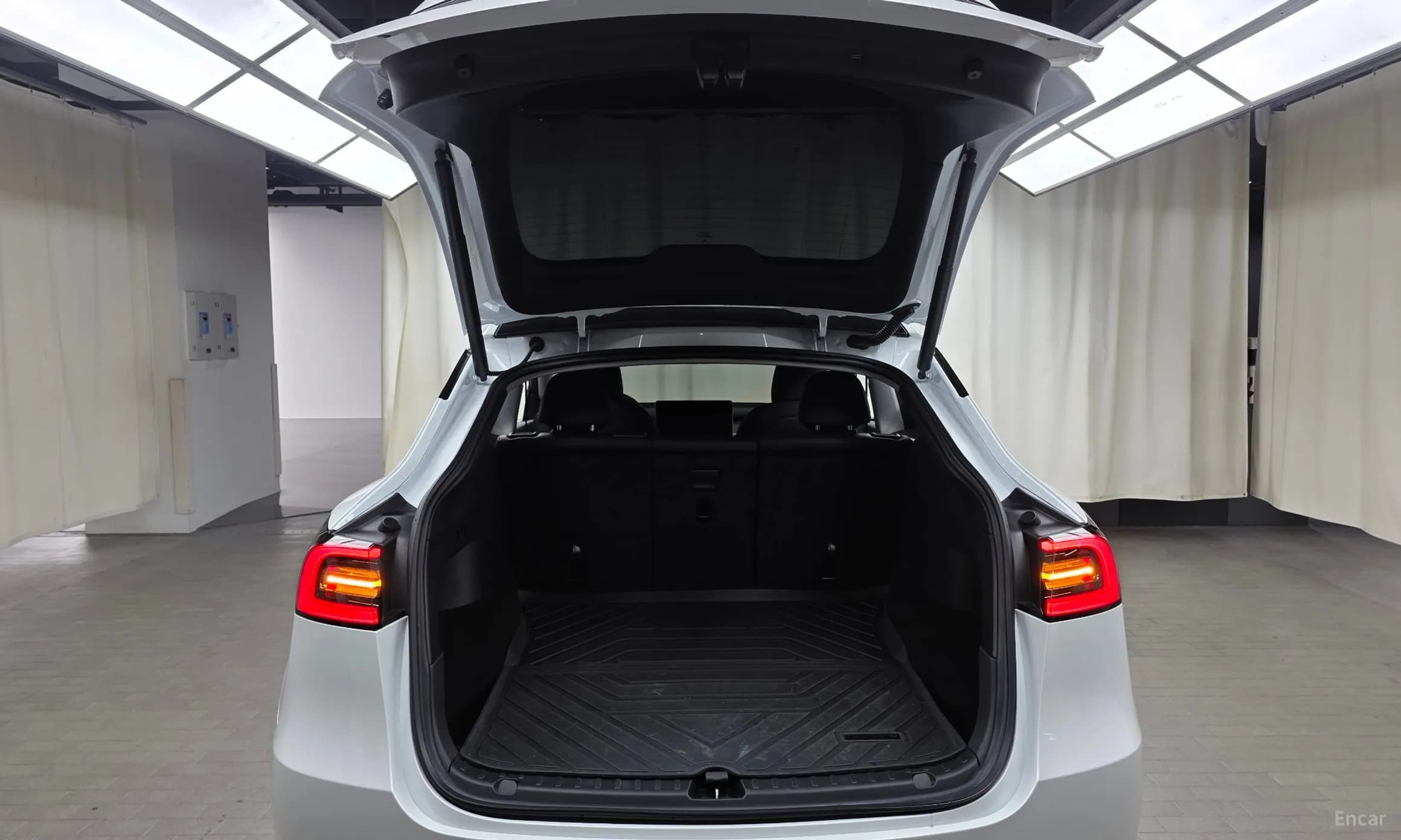 Model Y