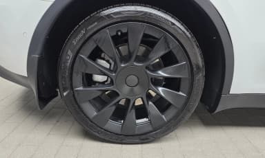 Model Y
