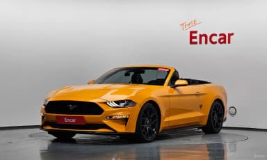 Mustang