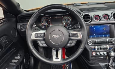 Mustang
