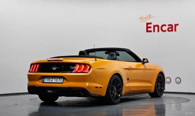 Mustang
