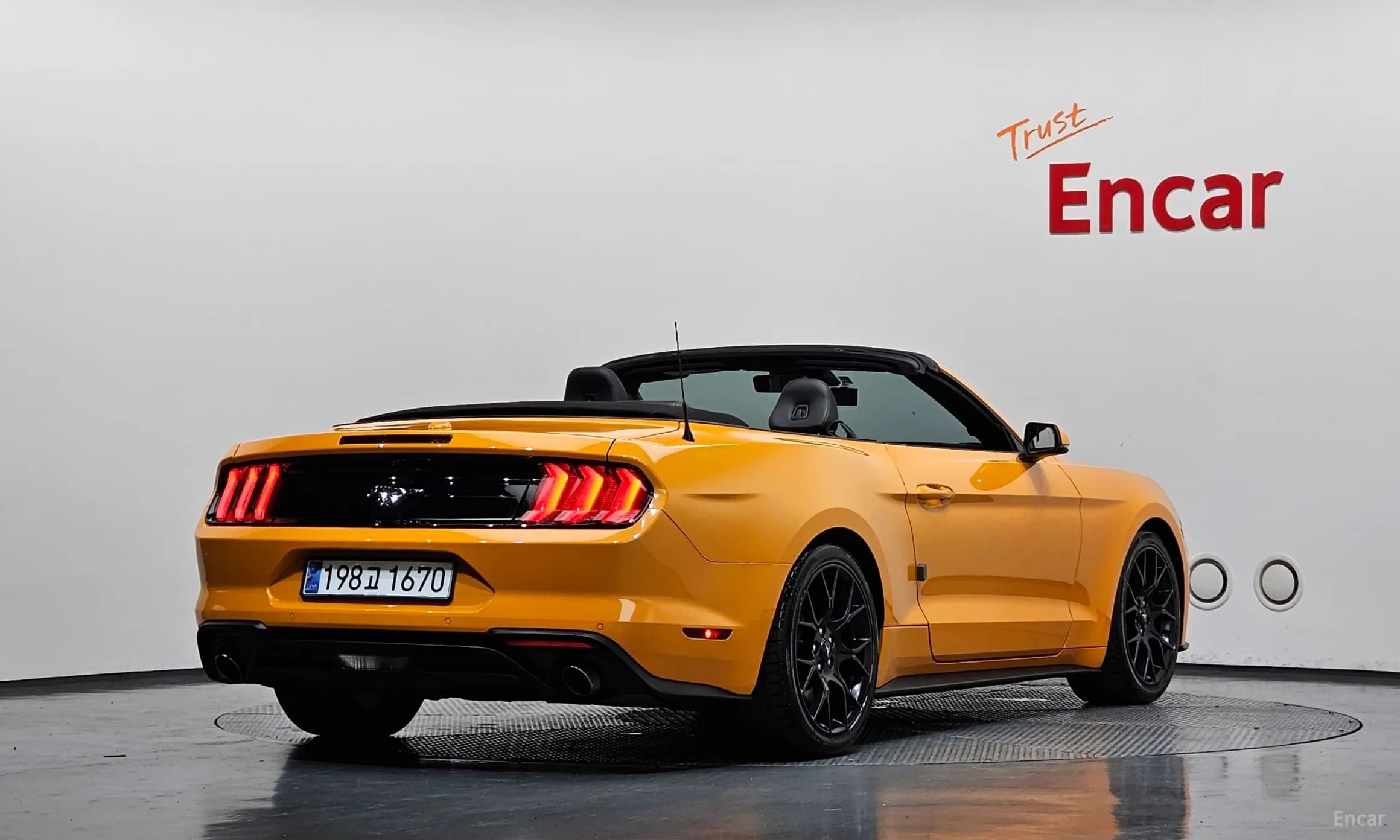 Mustang