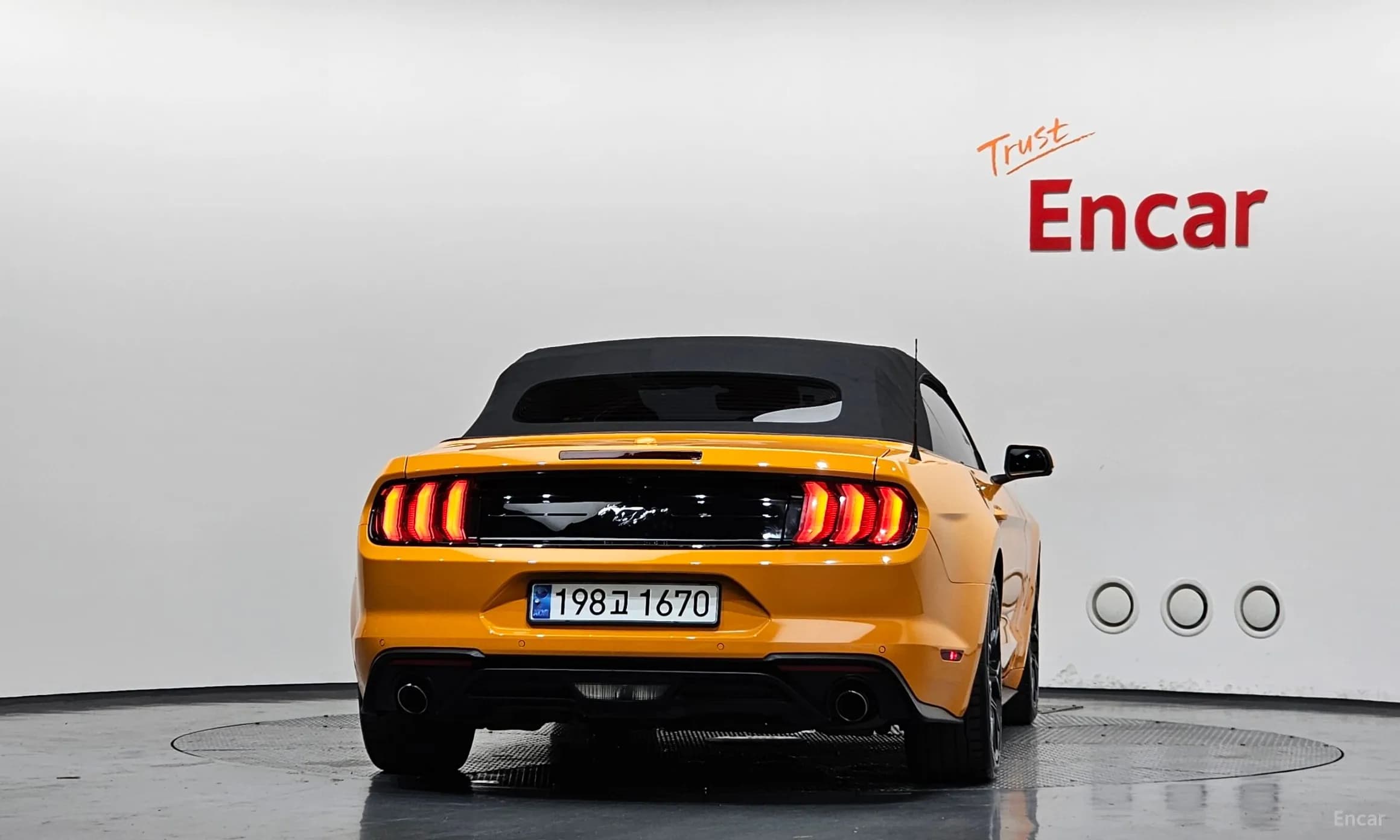 Mustang