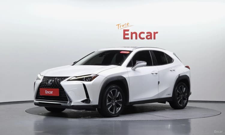 UX250h