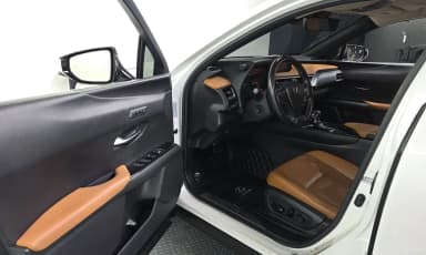 UX250h