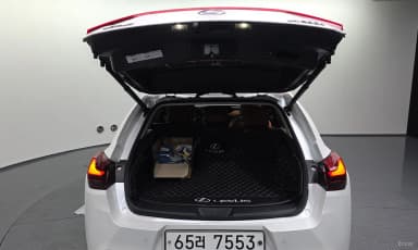 UX250h