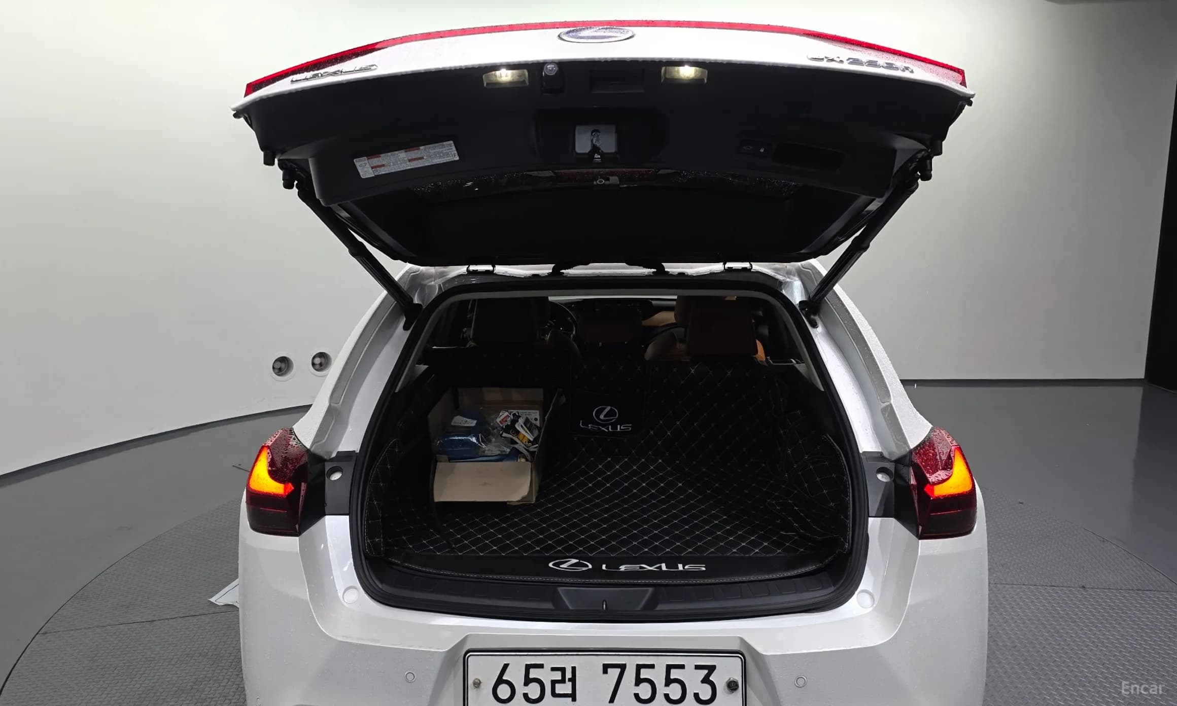UX250h