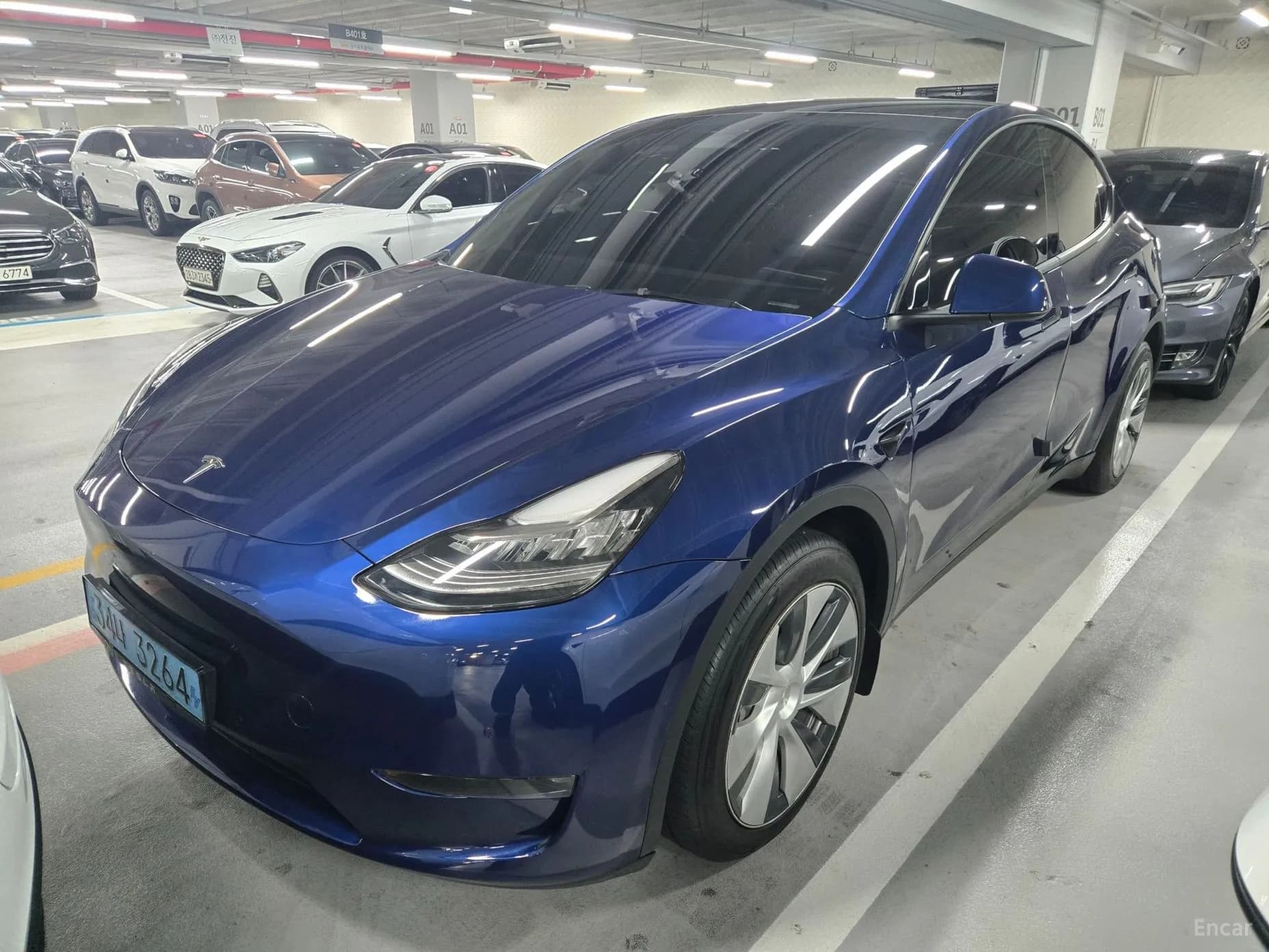 Model Y