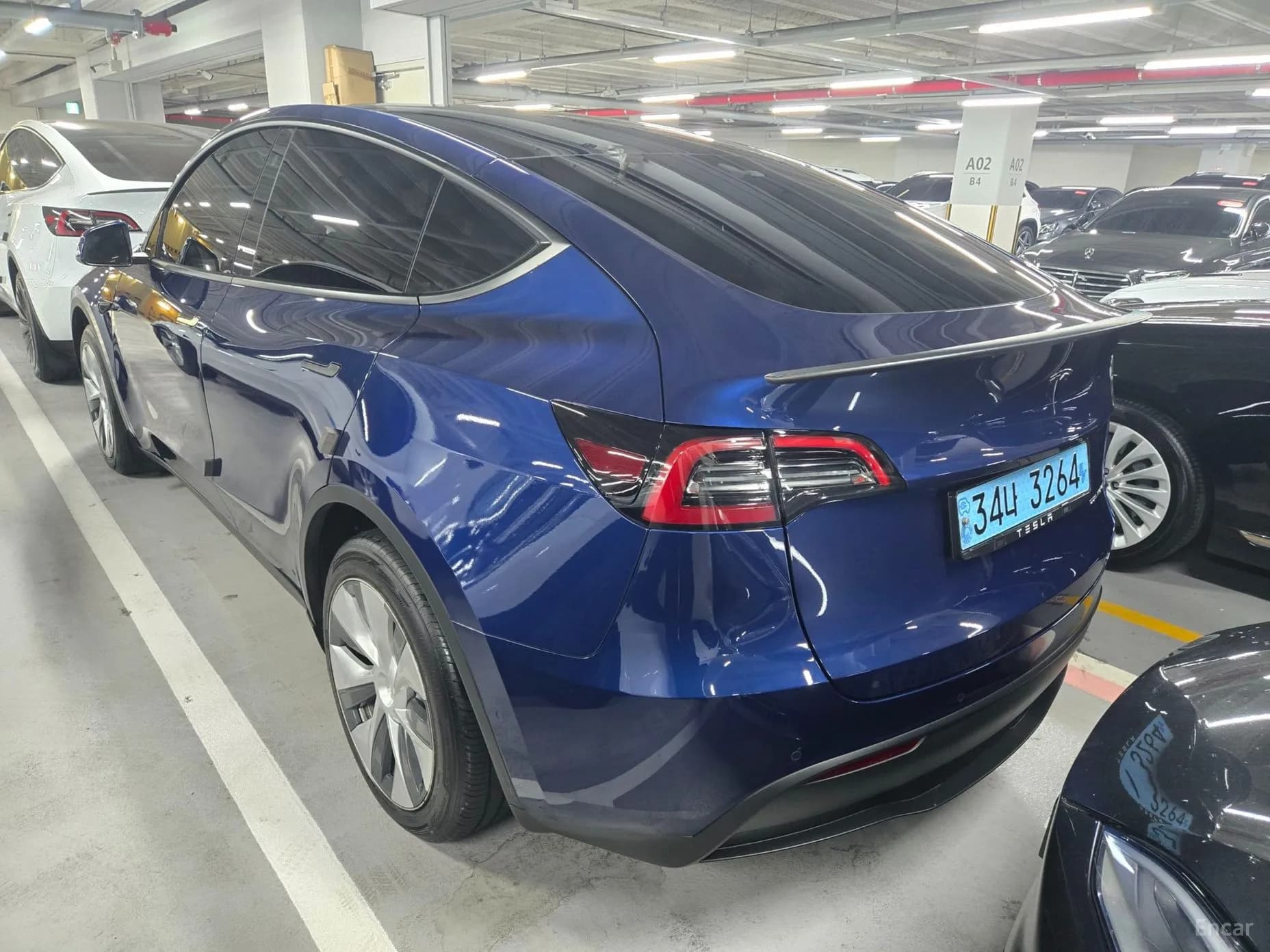 Model Y