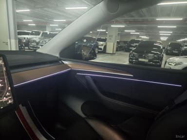 Model Y