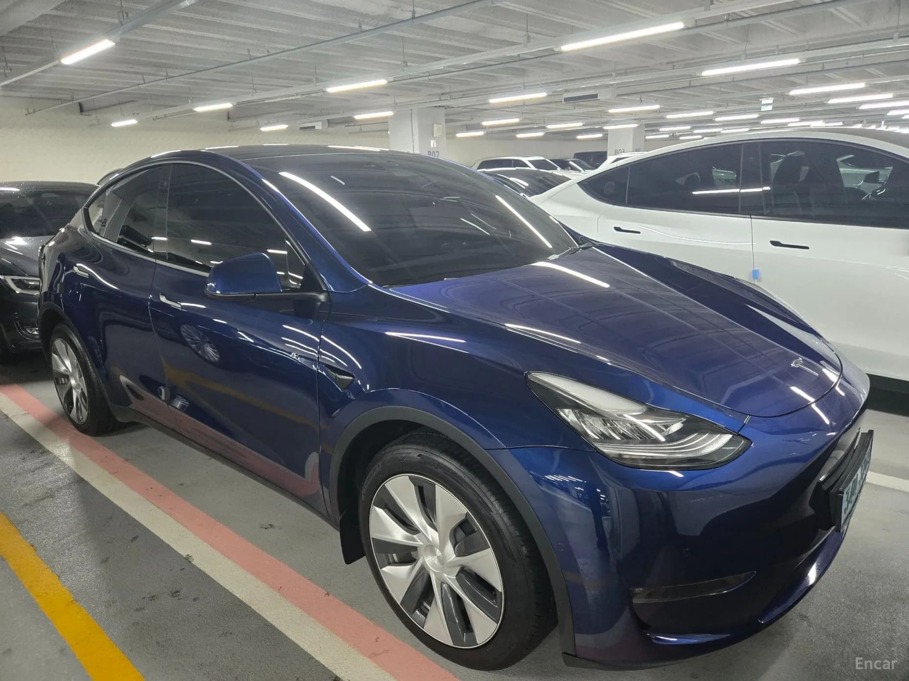 Model Y