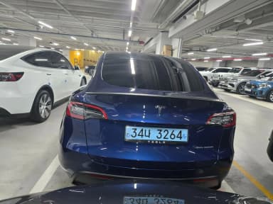 Model Y