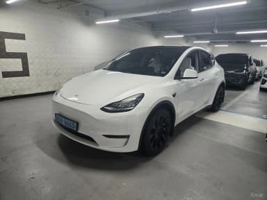 Model Y