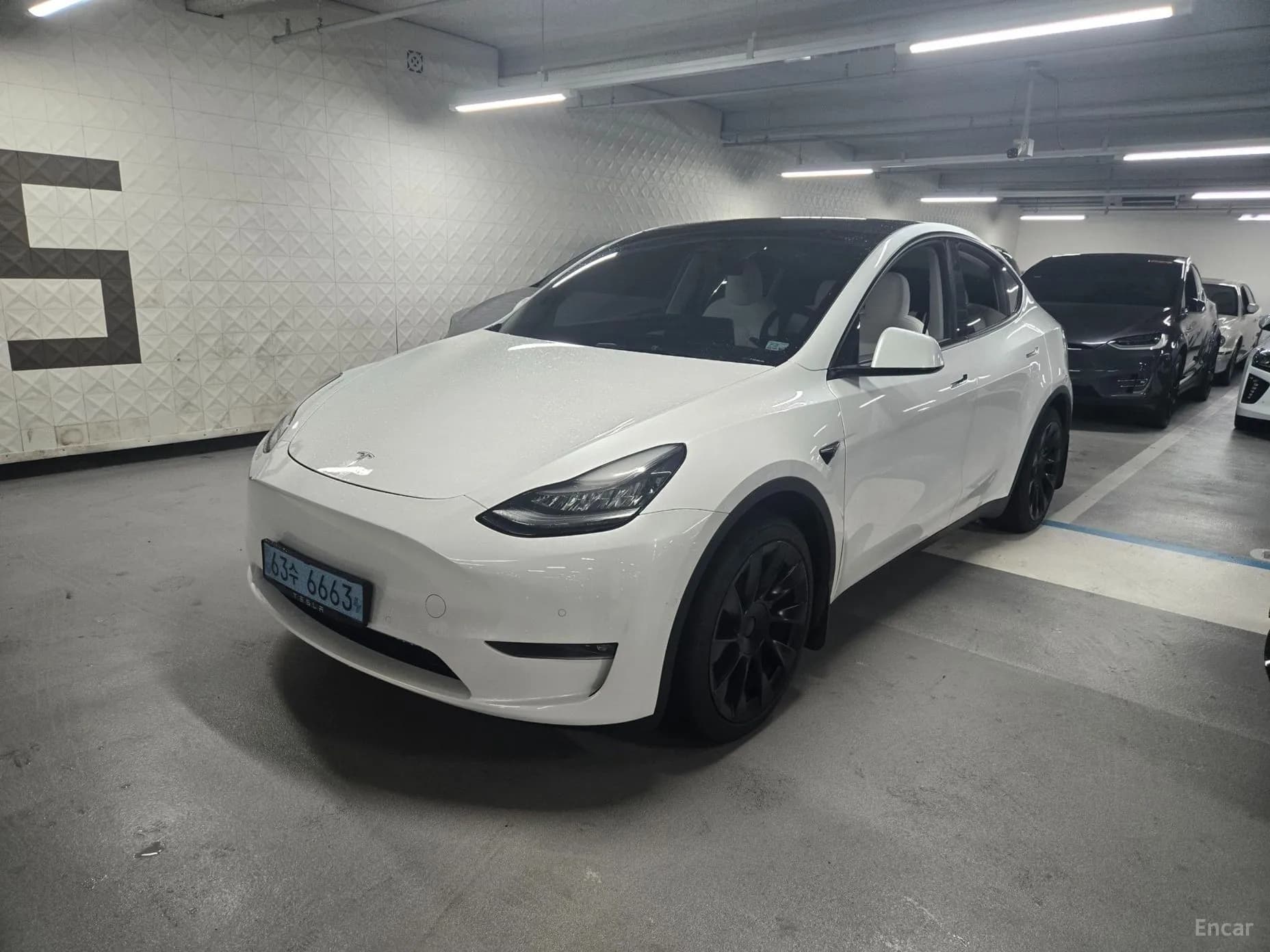 Model Y