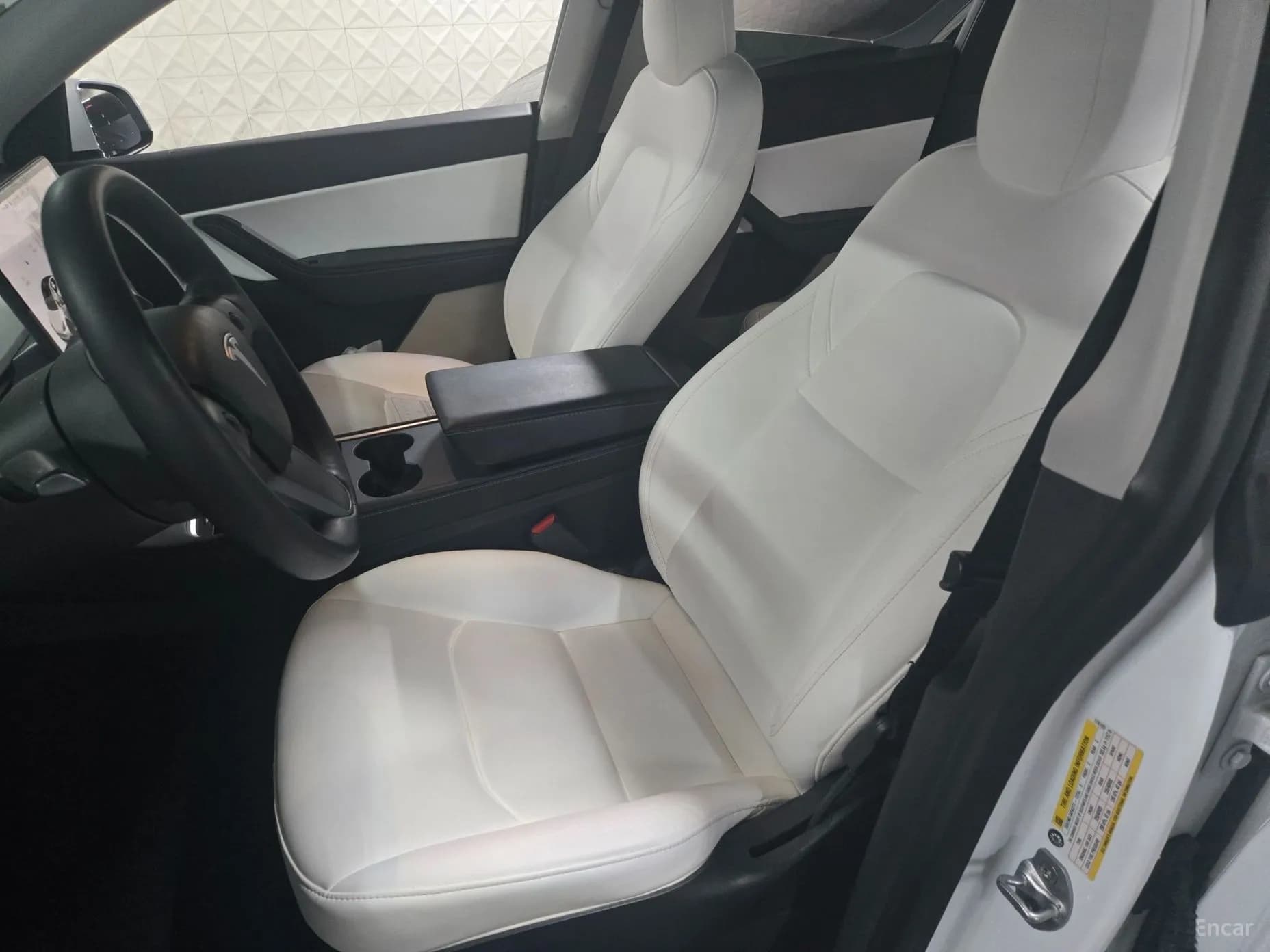 Model Y
