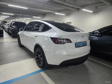 Model Y