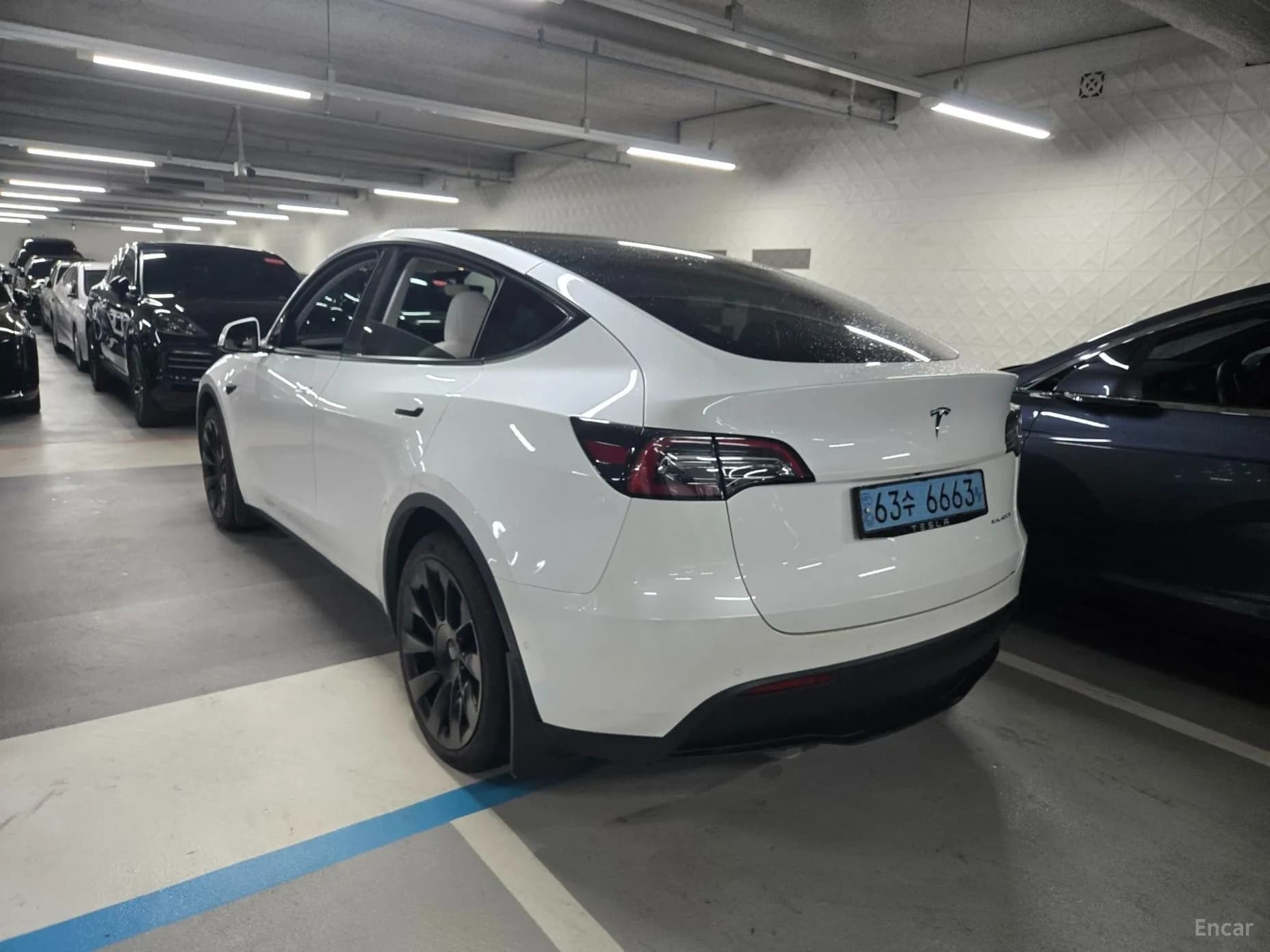 Model Y