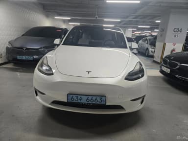 Model Y