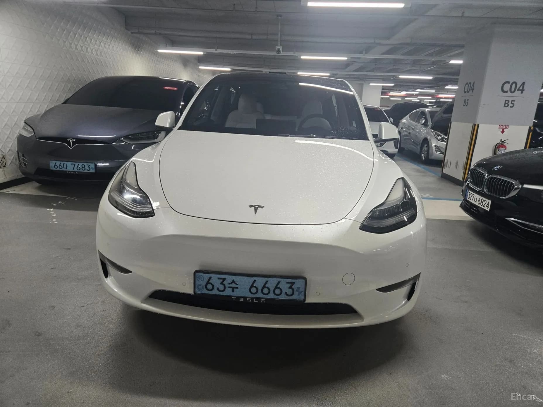 Model Y