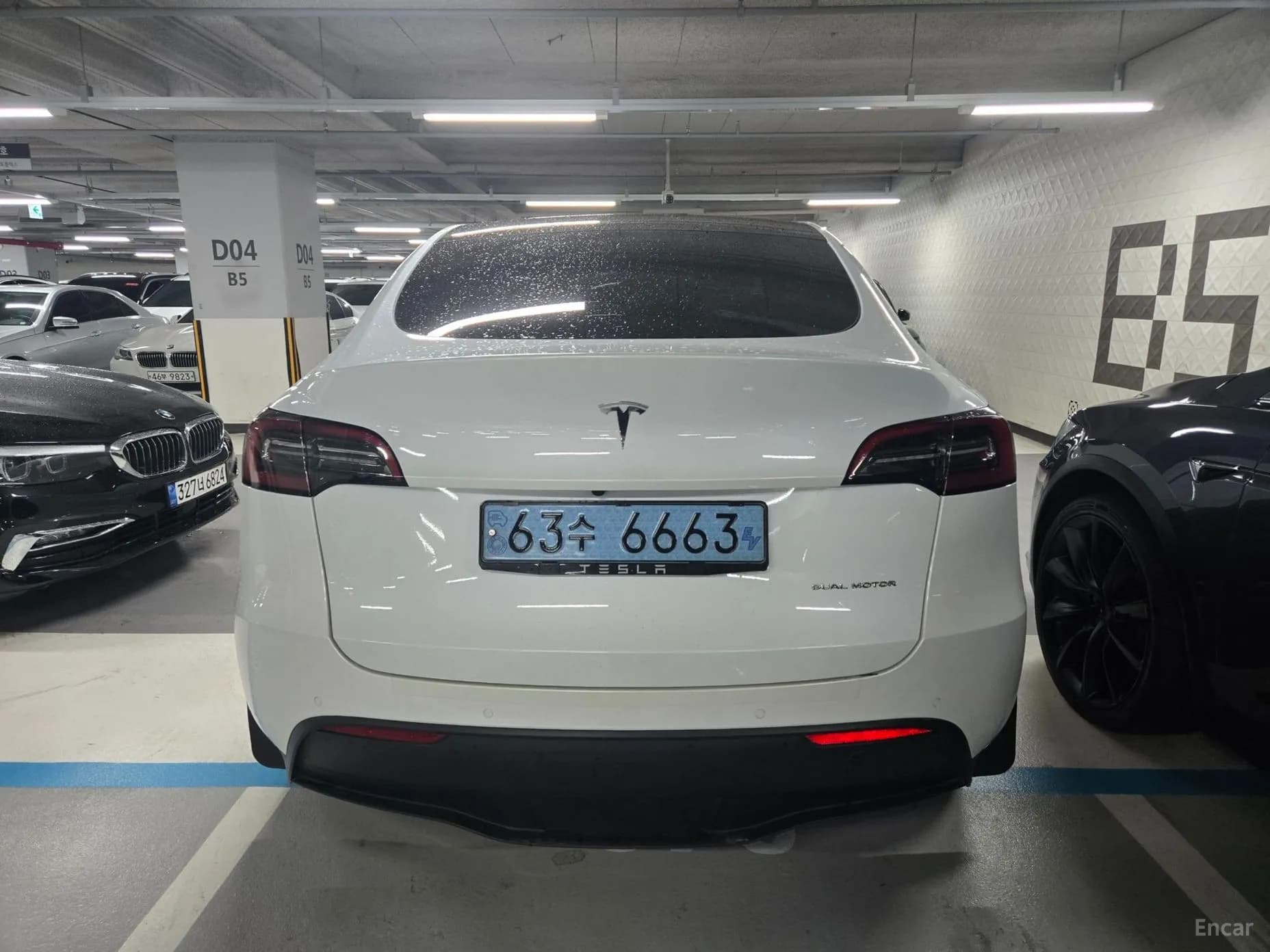 Model Y