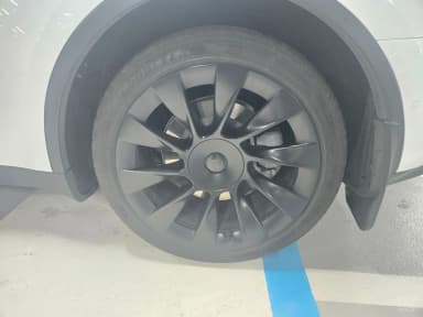Model Y
