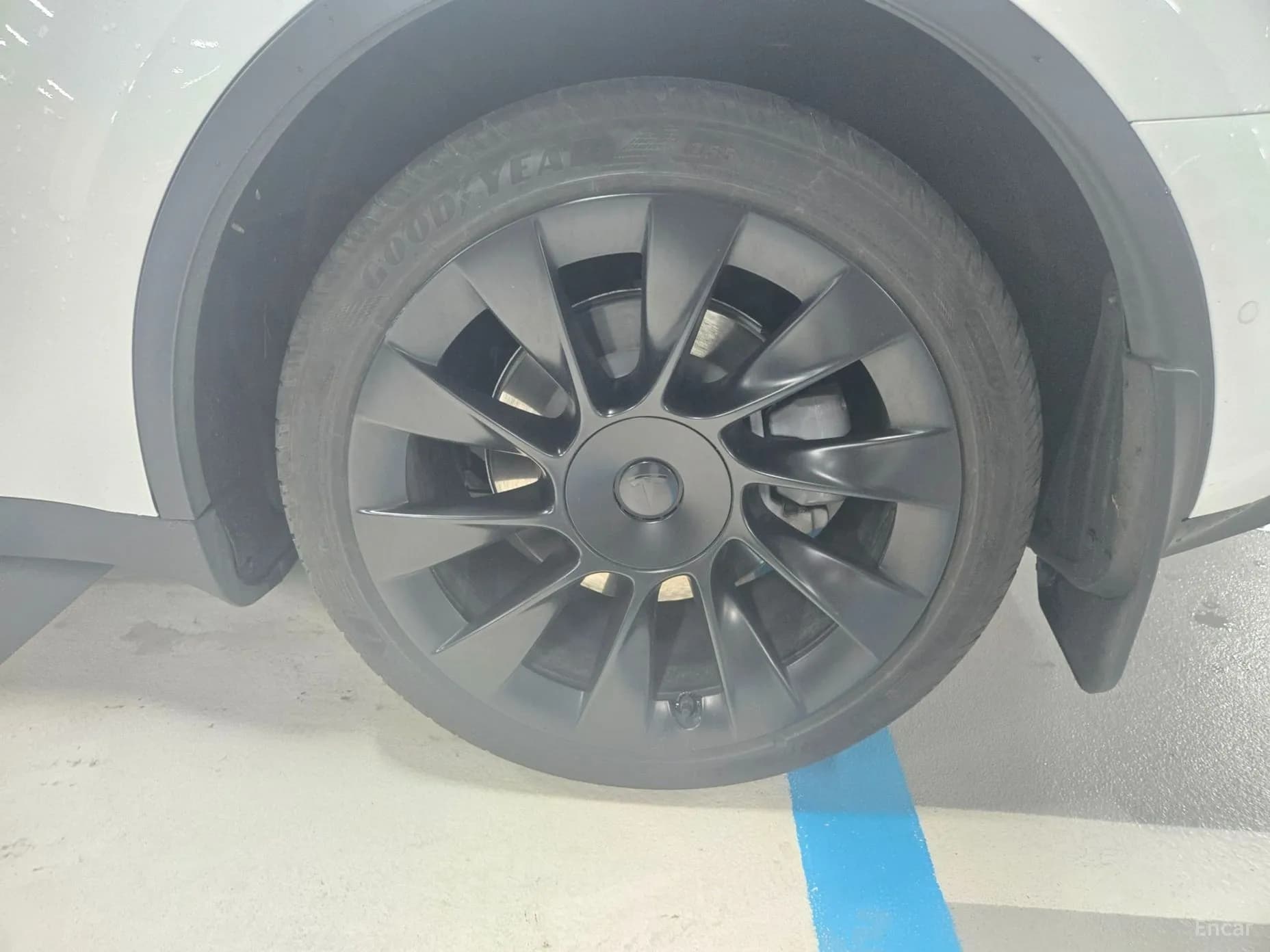 Model Y