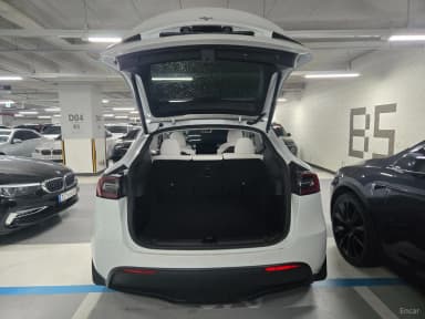 Model Y