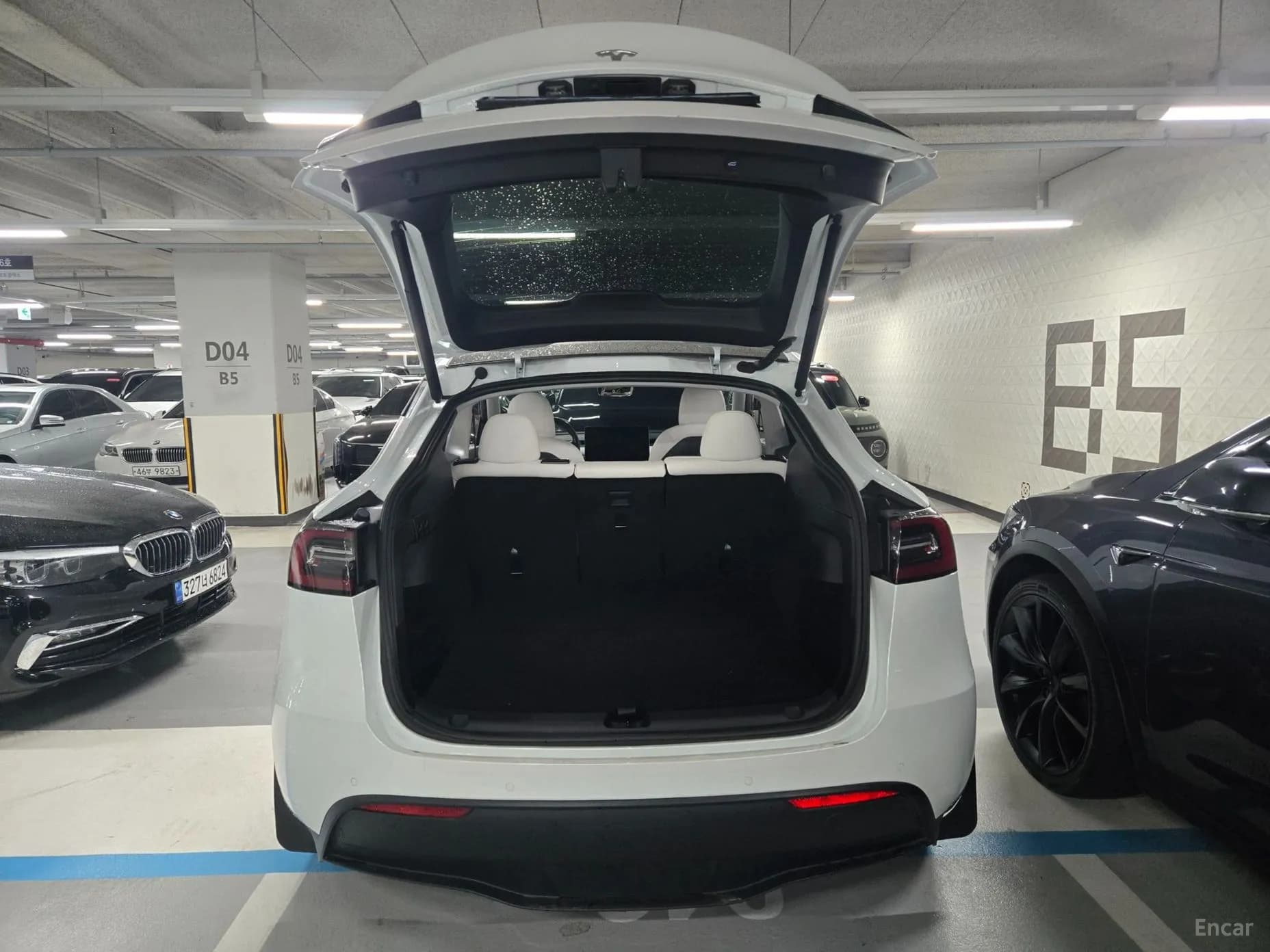 Model Y