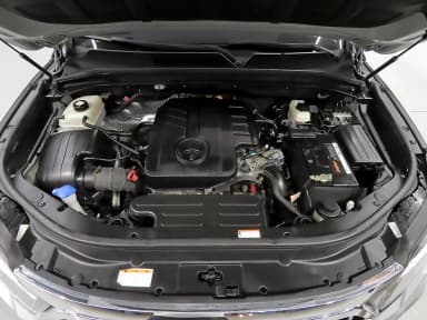 Rexton Sports