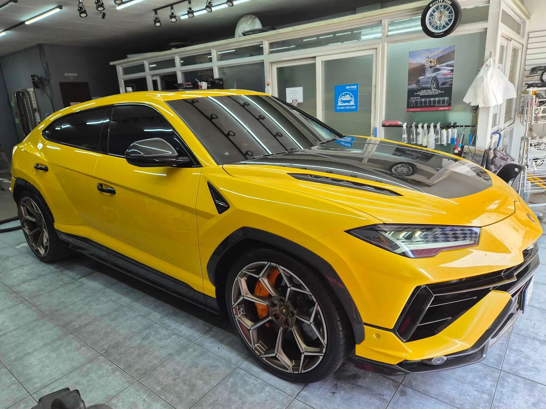 Urus