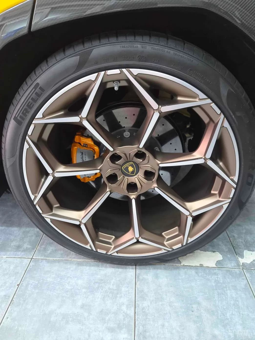 Urus