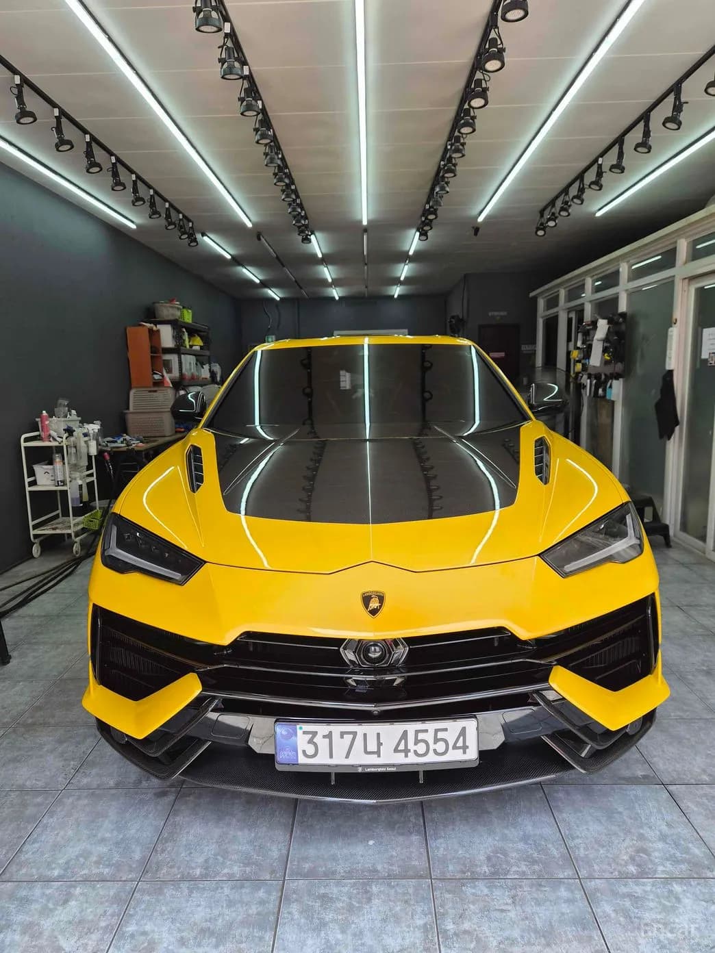 Urus