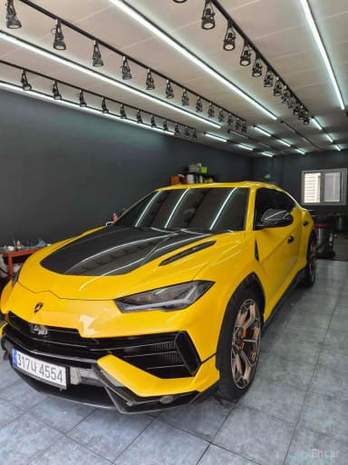 Urus
