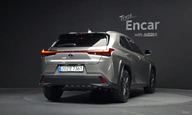 UX300h