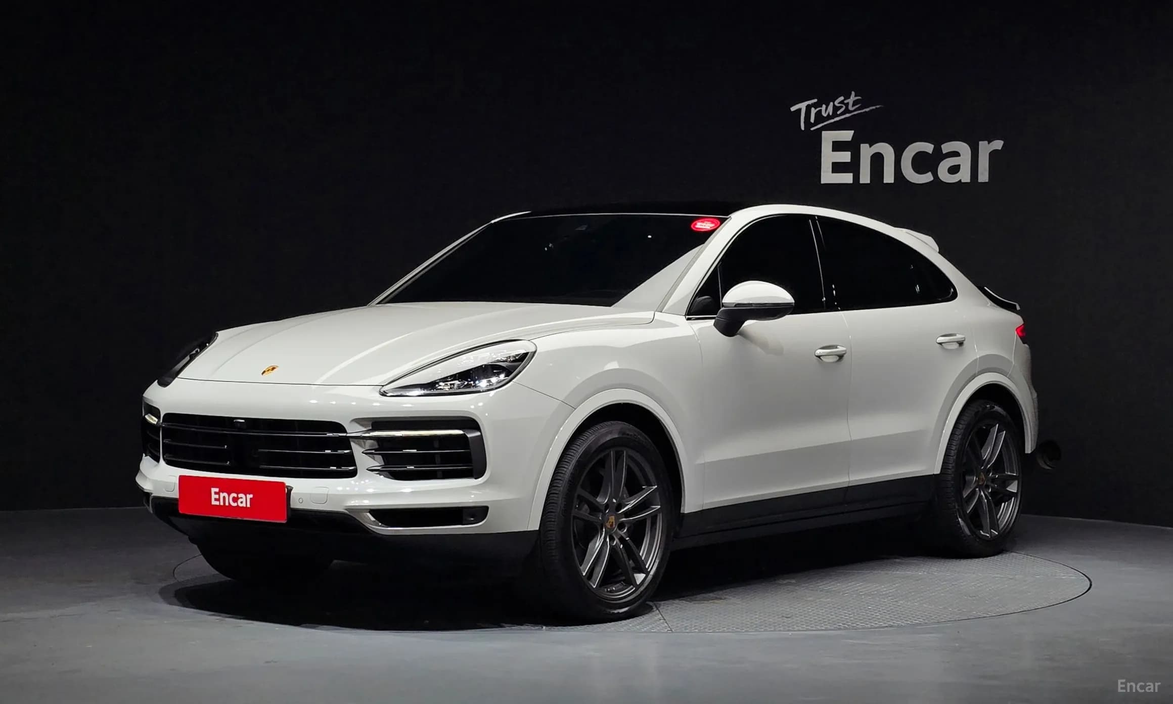 Cayenne (PO536)