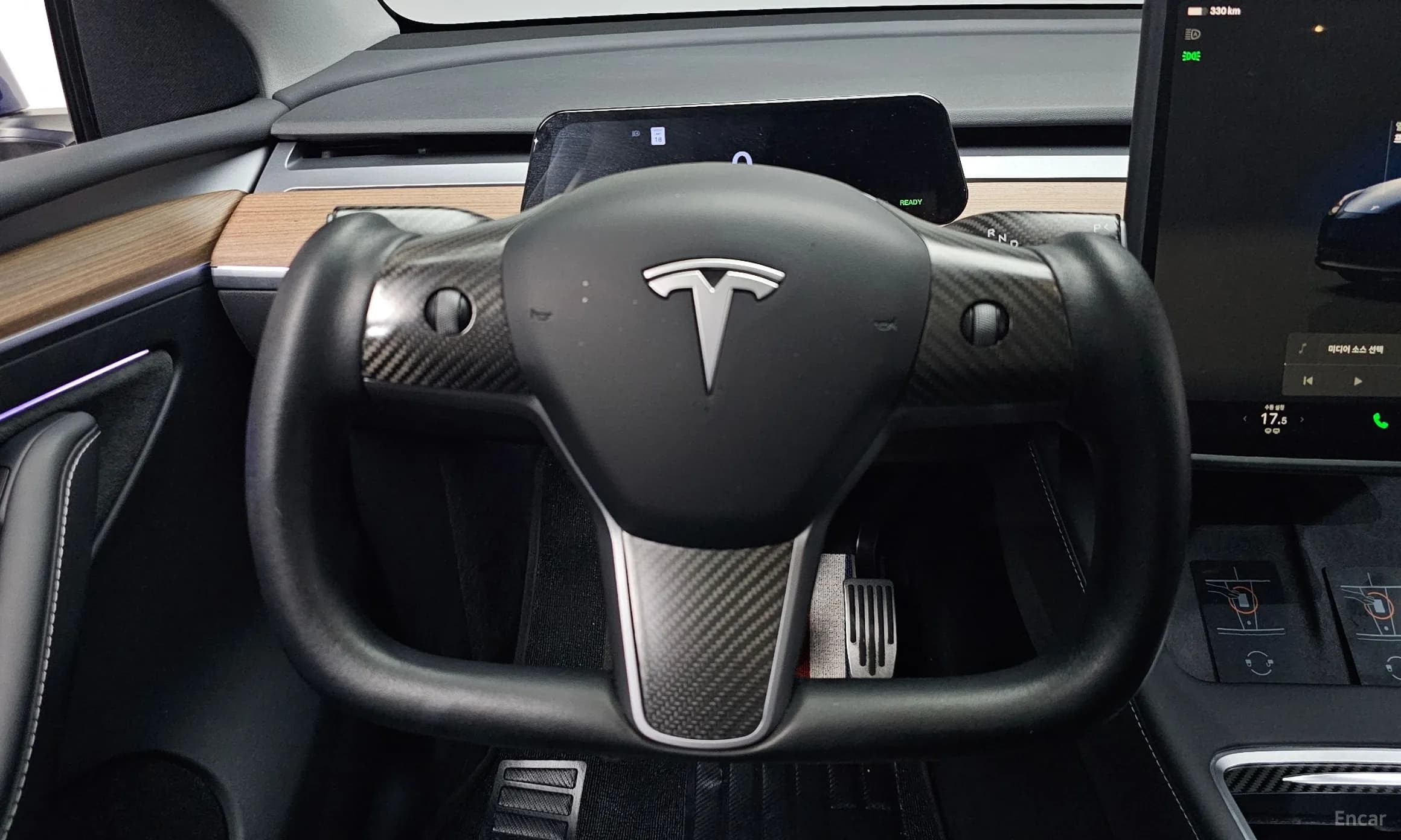 Model Y