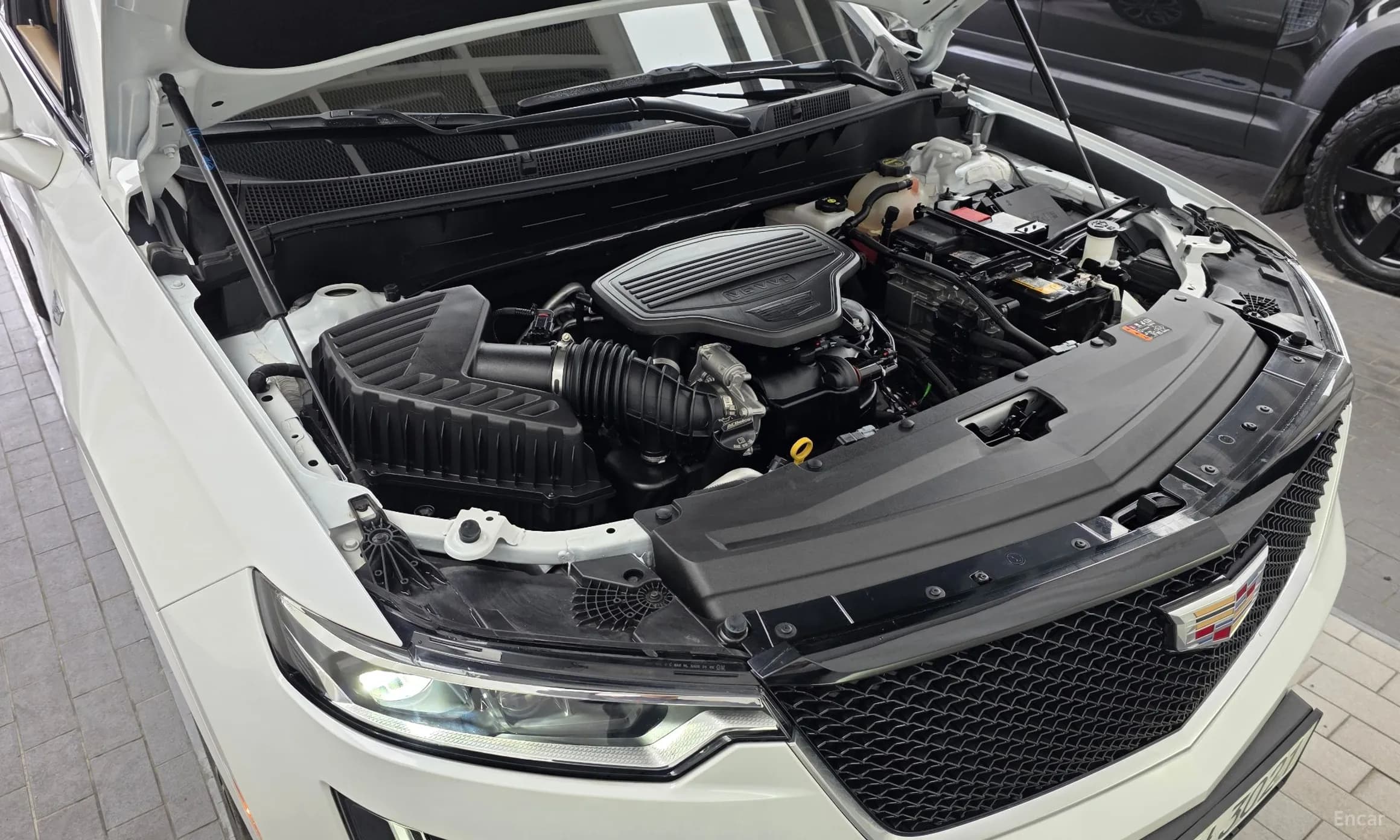 XT6