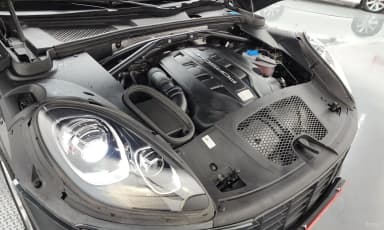 Macan