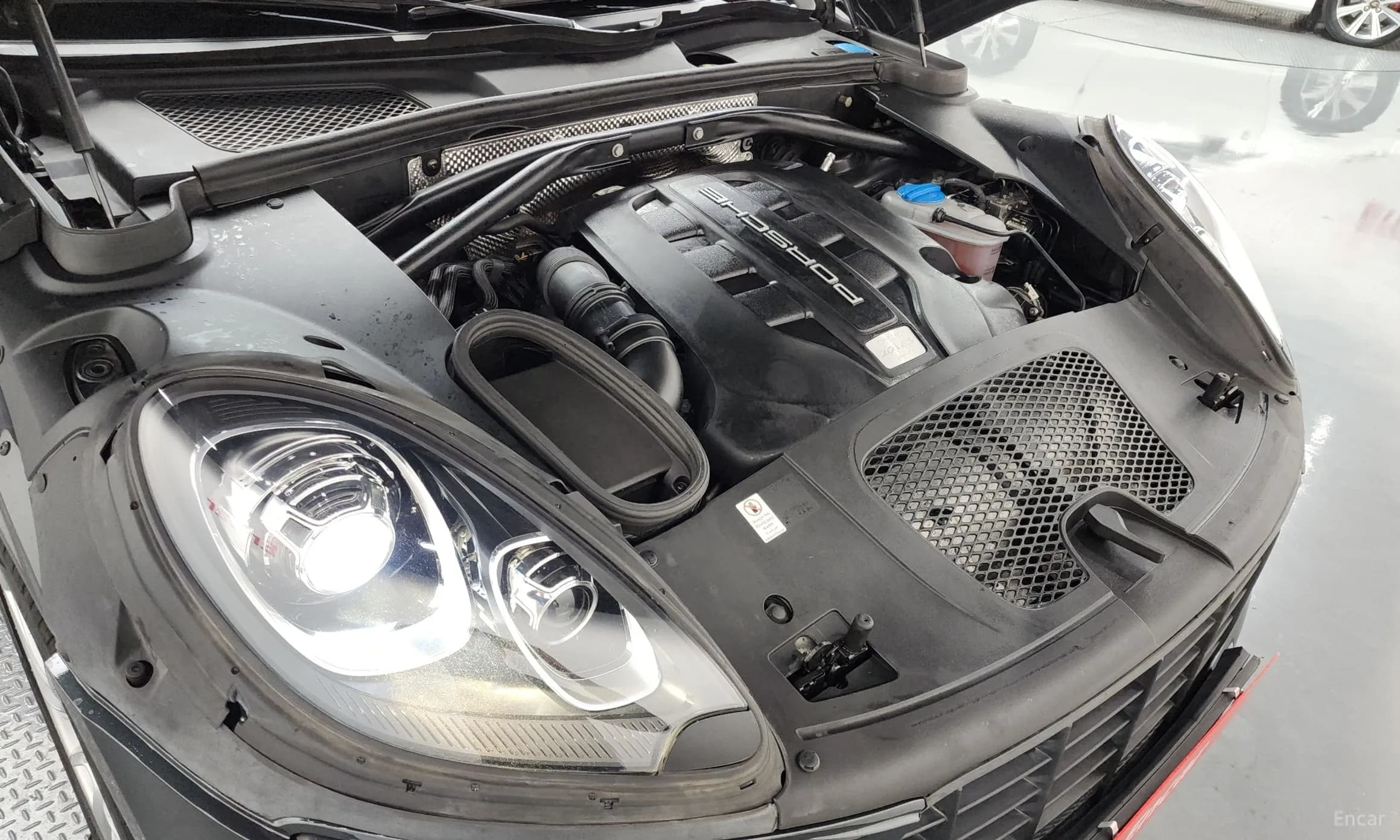Macan