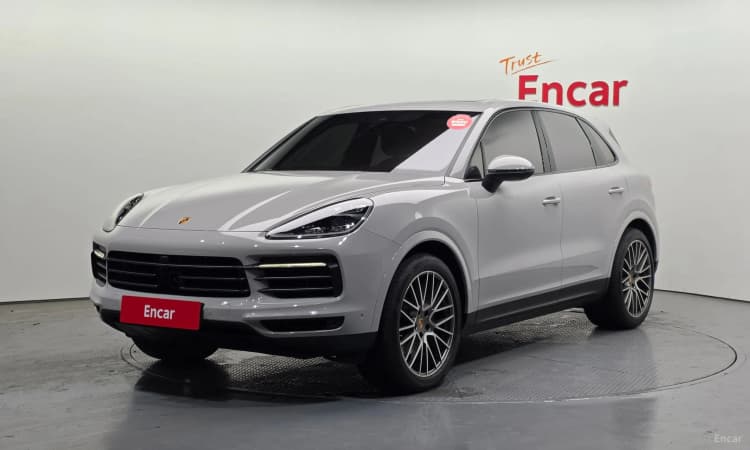 Cayenne (PO536)