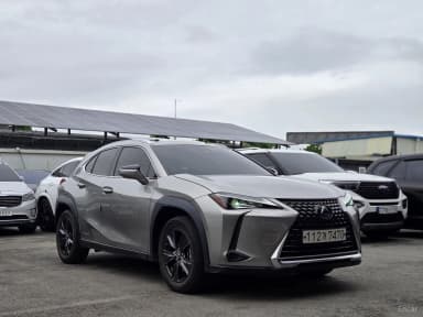 UX250h