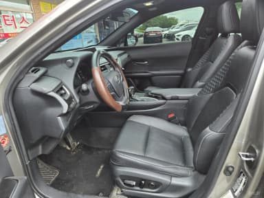 UX250h