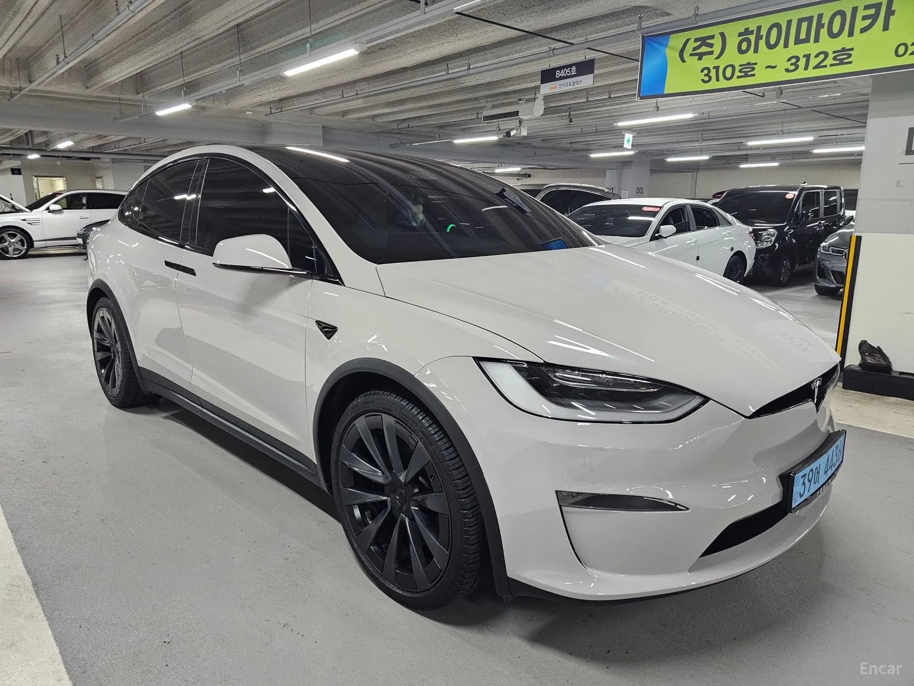 Model X