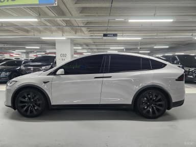 Model X